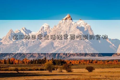 这10种日常生活经常要吃到的食物