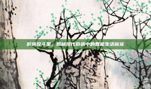 厨房反斗星,揭秘现代厨房中的智能生活新宠
