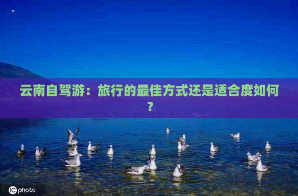 云南自驾游：旅行的更佳方式还是适合度如何？
