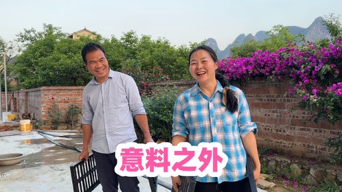 厂房和后院如期进行施工，小翠没料到这个步骤，多花不少冤枉钱