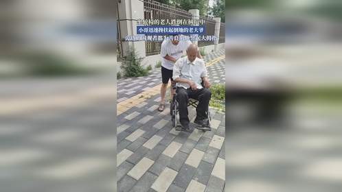 坐轮椅的老人跌倒在树坑中，小哥迅速搀扶其倒地的老大爷。