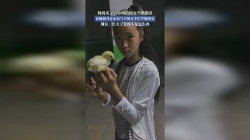 妈妈买了只小鸡给闺女当鹦鹉养在极其肯定语气下闺女半信半疑接受