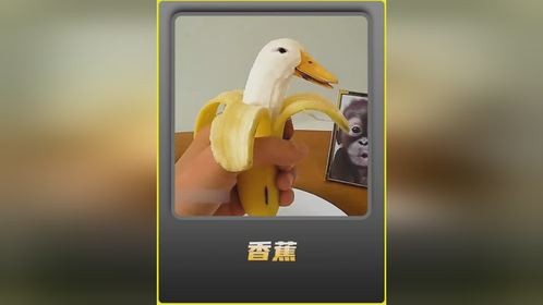 香蕉里面竟蕴含各种深机