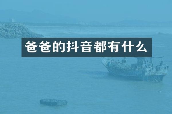 爸爸的抖音都有什么