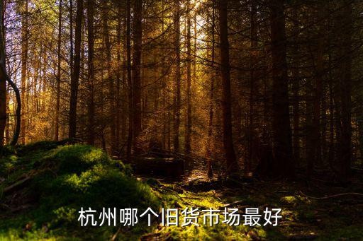 杭州哪个旧货市场最好
