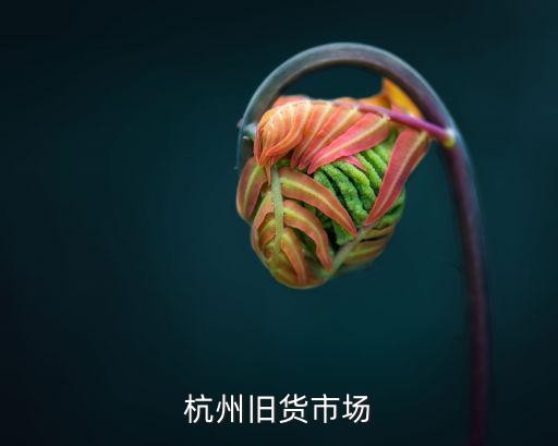 杭州旧货市场