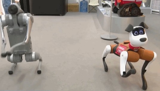 10aa2f5665cf9ea7712a8862f3329119.gif