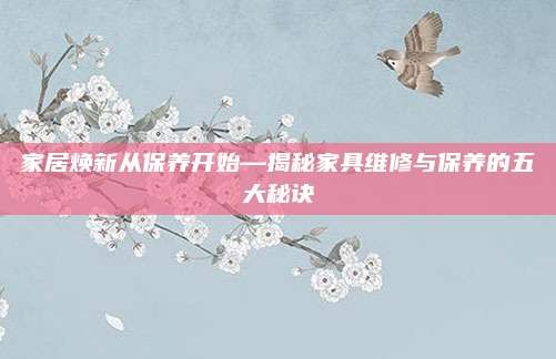 家居焕新从保养开始—揭秘家具维修与保养的五大秘诀