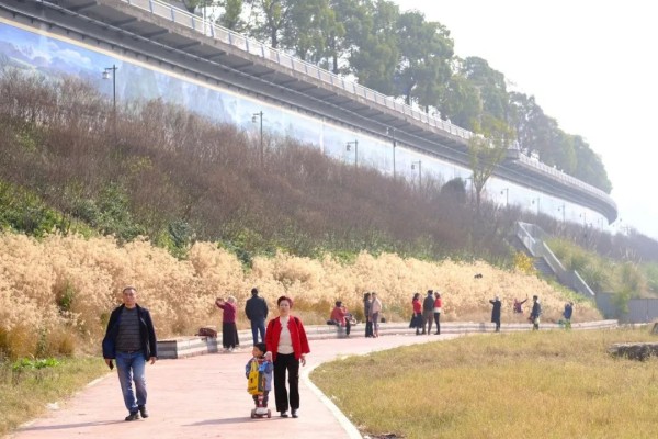 1月30日,南岸区雅巴洞湿地公园,天气晴好,市民纷纷走出家门享受阳光。郭旭 摄
