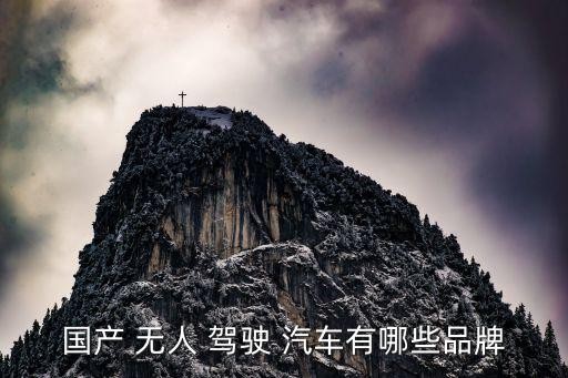 国产 无人 驾驶 汽车有哪些品牌
