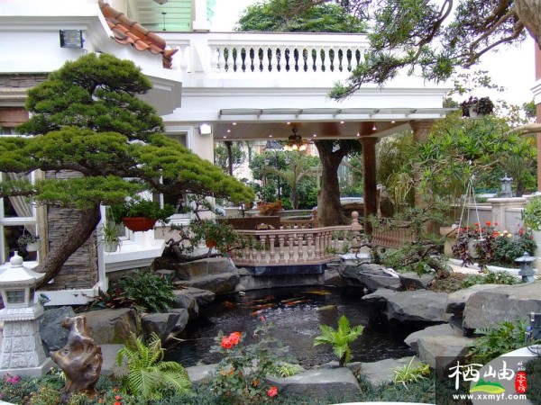 庭院锦鲤池