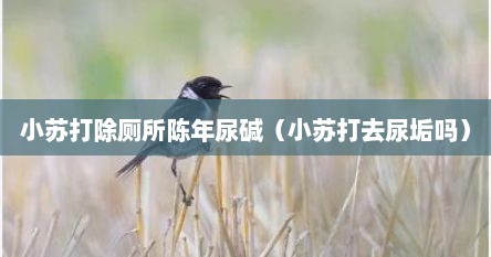 小苏打除厕所陈年尿碱（小苏打去尿垢吗）