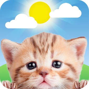 天气小猫Weather Kitty
