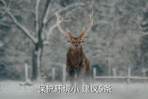  保护环境小 建议5条