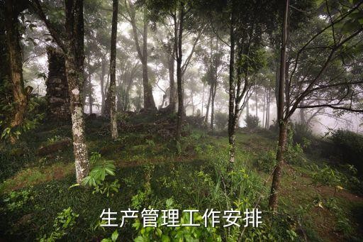 生产管理工作安排