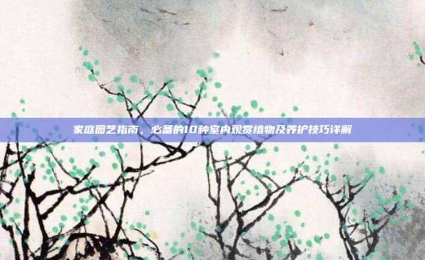 家庭园艺指南,必备的10种室内观赏植物及养护技巧详解