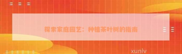 探索家庭园艺：种植茶叶树的指南