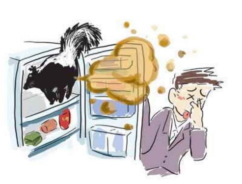 生活小常识：冰箱快速除臭一招就灵