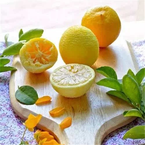 怎样去除冰箱的异味_冰箱异味_去除冰箱异味