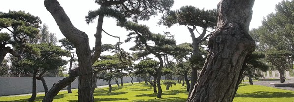 「松」活动｜“双魔方”里的冥想与意识转换 崇真艺客