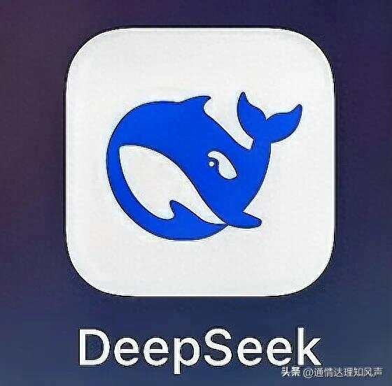 AI软件用对了，生活轻松一大半！适合中老年的三款“智能小帮手”
