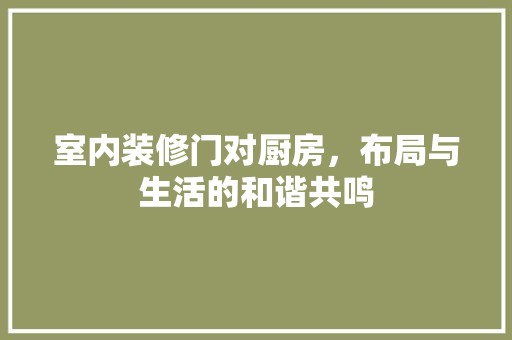 室内装修门对厨房，布局与生活的和谐共鸣 现代风格装饰