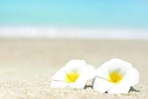 粕谷麻衣