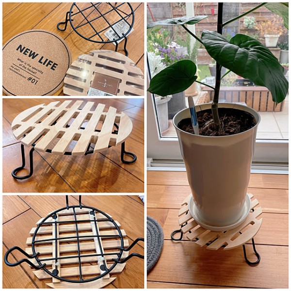 花のある暮らし,観葉植物,ナチュラル,100均,DIY,DIY初心者,セリア,Lounge mei617830の部屋