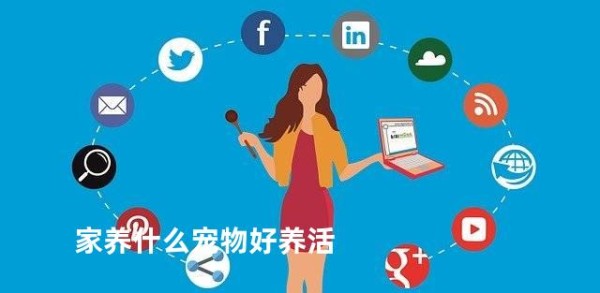 家养什么宠物好养活