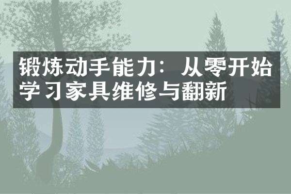 锻炼动手能力：从零开始学习家具维修与翻新