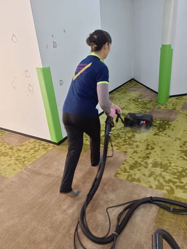 蒸汽清洗地毯
