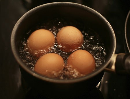 合理食用鸡蛋 享受健康生活