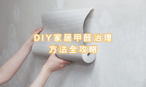 DIY家居甲醛治理