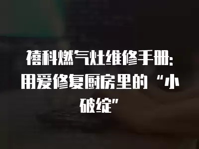 禧科燃气灶维修手册: 用爱修复厨房里的“小破绽”