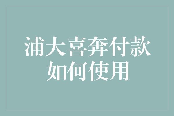 浦大喜奔付款如何使用