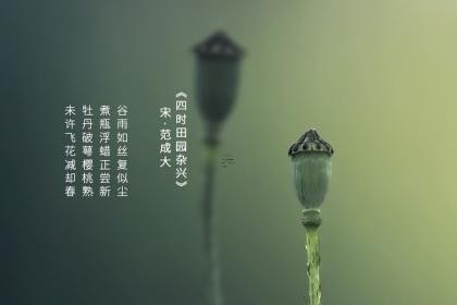 2024年属马居家布置好不好，2014年属马的是什么命