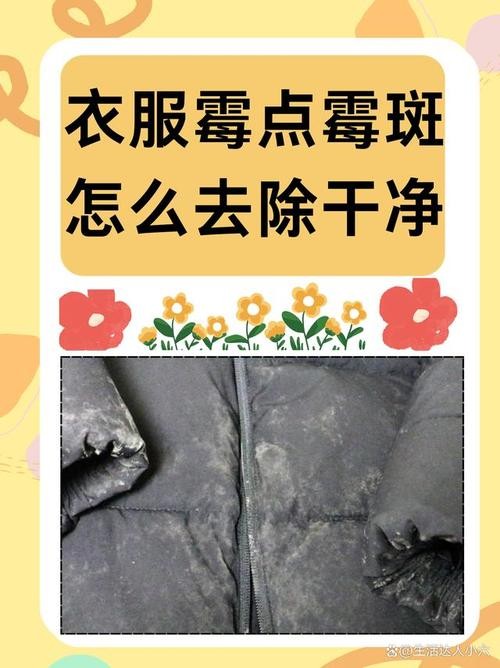 衣服长霉菌怎么洗掉霉斑（衣服有霉菌怎么处理）