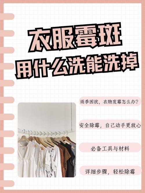 衣服长霉菌怎么洗掉霉斑（衣服有霉菌怎么处理）