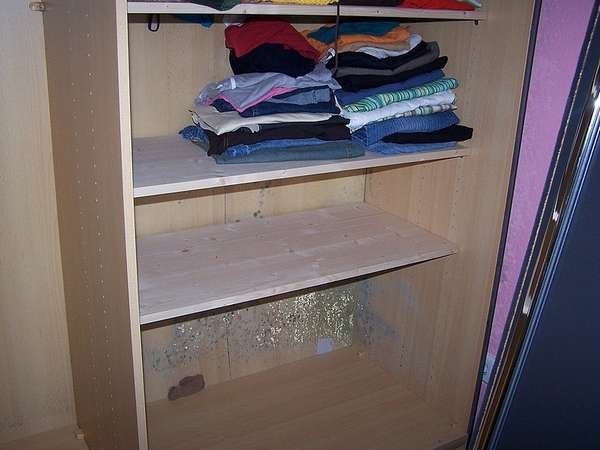 如何去除衣柜里衣服的霉味