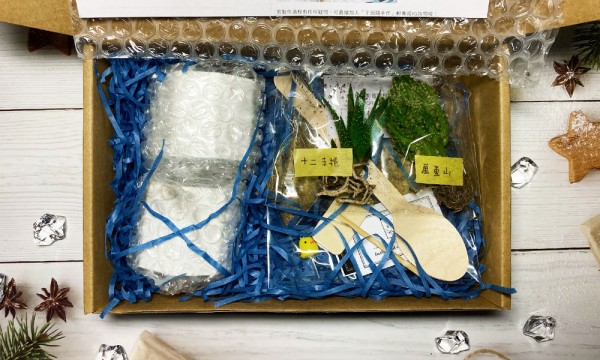 大理石紋雙八角多肉 內容物