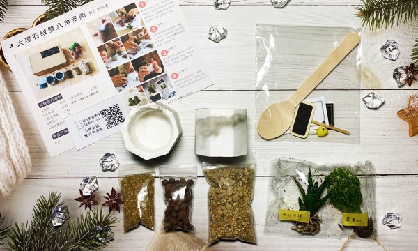 多肉植物盆栽DIY