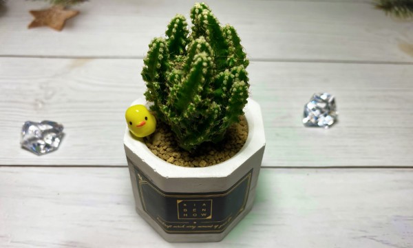 下班隨手作 小飾品