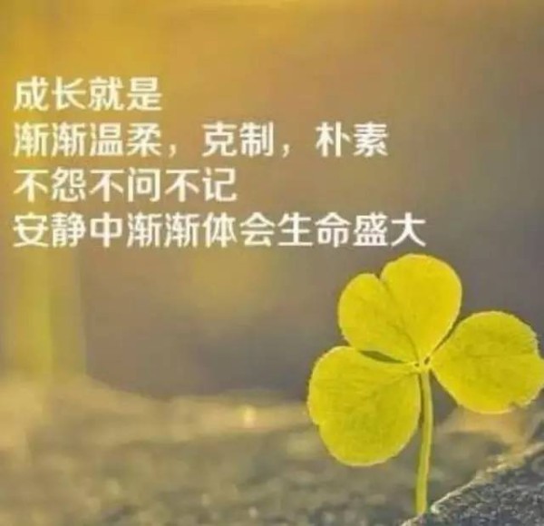 塔罗牌占卜:现在我的内心状态是如何呢?