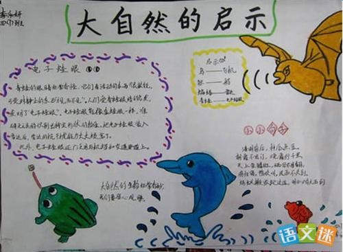 大自然的手抄报图片