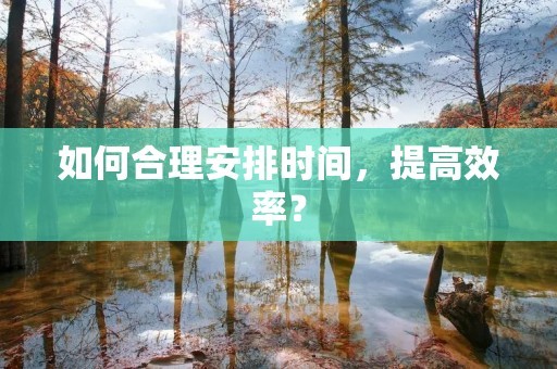 如何合理安排时间，提高效率？