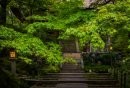 2025绍兴五一寺庙有哪些推荐?