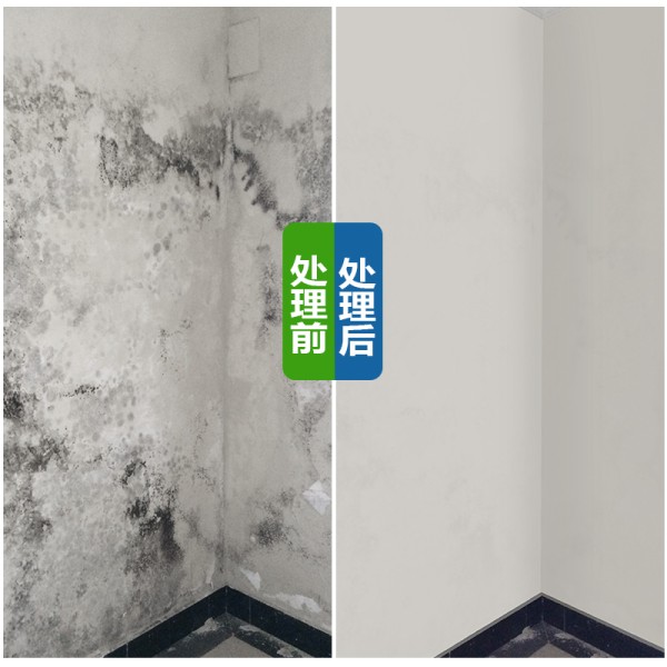 墙体除霉菌除霉剂墙面霉斑净清除白墙防霉家用去去霉剂