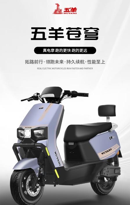 2025年电动车十大名牌大放送！总有一款让你心动！-有驾