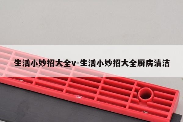 生活小妙招大全v
