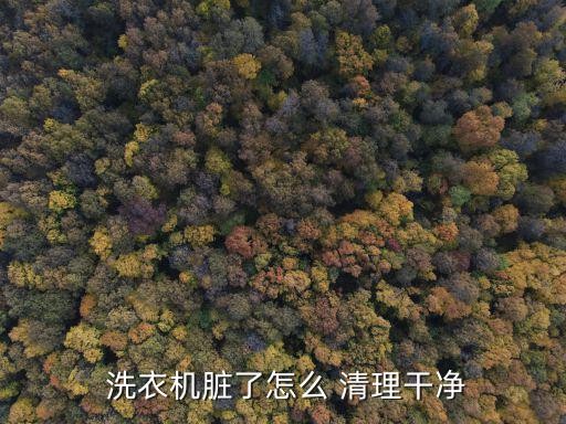  洗衣机脏了怎么 清理干净
